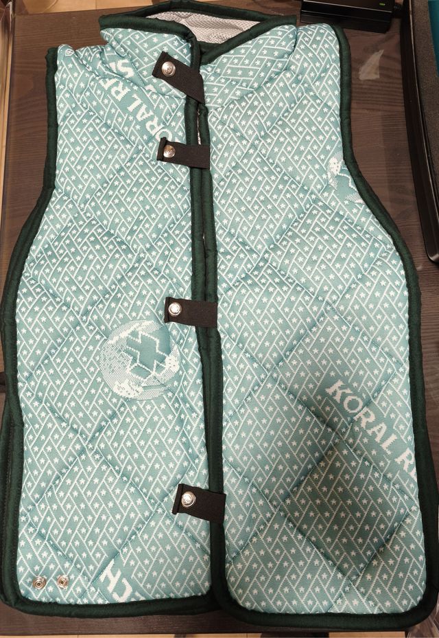 Apparecchio di magnetoterapia MAG 204 100 Gauss