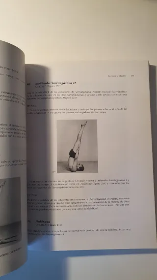 Luz sobre el yoga: La guía clásica del yoga, po...