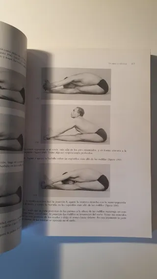 Luz sobre el yoga: La guía clásica del yoga, po...