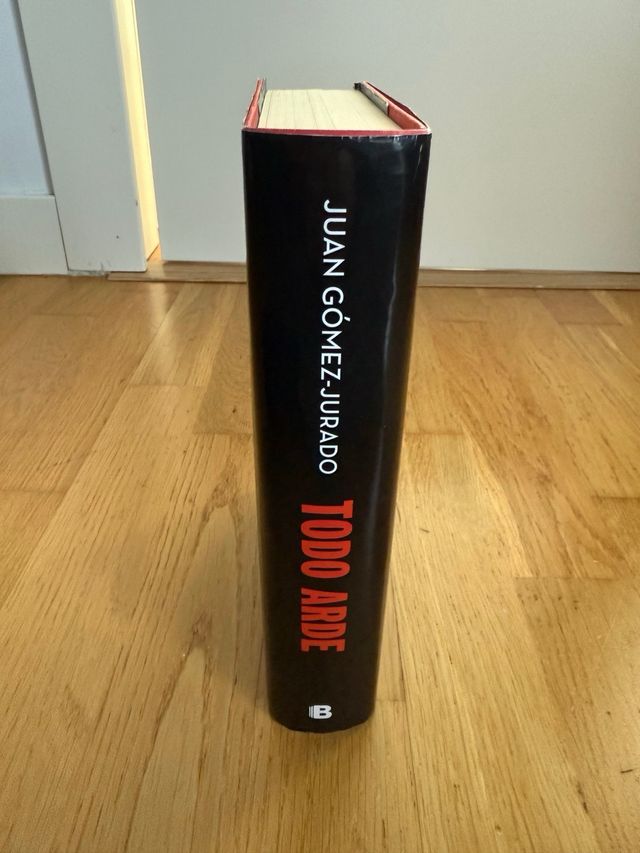 Todo arde (Serie Todo arde 1)