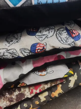 Camitas para perros con diseños divertidos