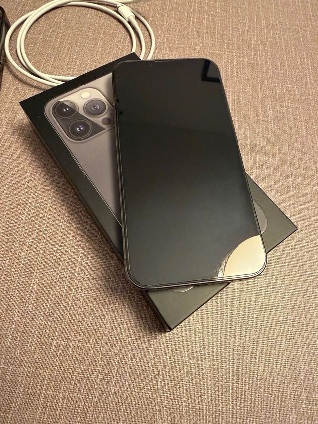 iPhone 13 Pro Gris