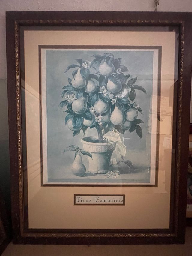 2 Cuadros Prunus Persica 68x88