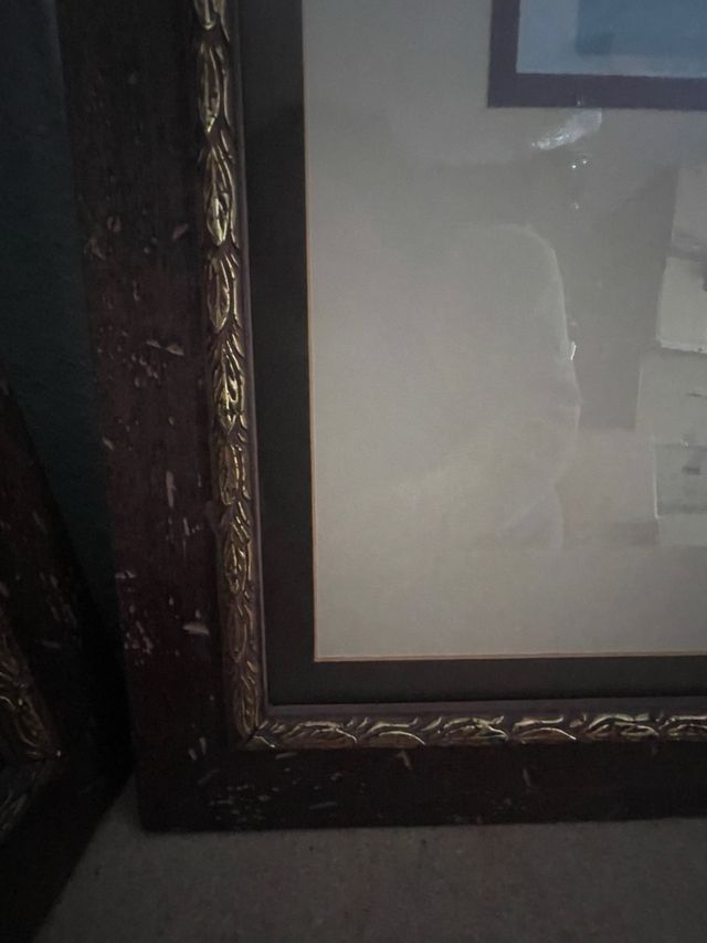 2 Cuadros Prunus Persica 68x88