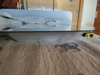 Lámpara de techo negra y traslúcido, base blanca