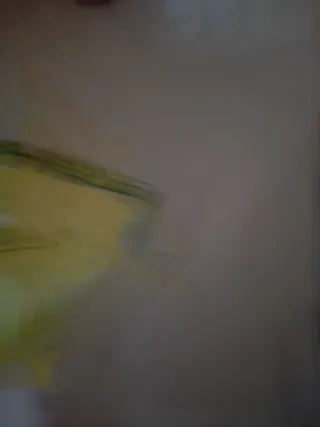 Filtro de aire Mann C2485/2