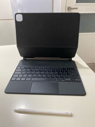 iPad Pro 12.9 4ª Gen Gris Espacial