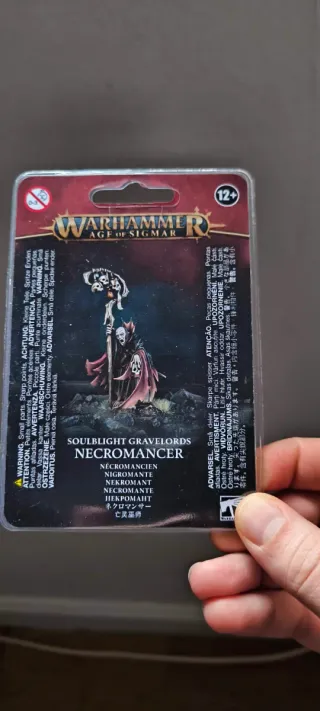 Necromancer Soulblight Gravelords nigromante