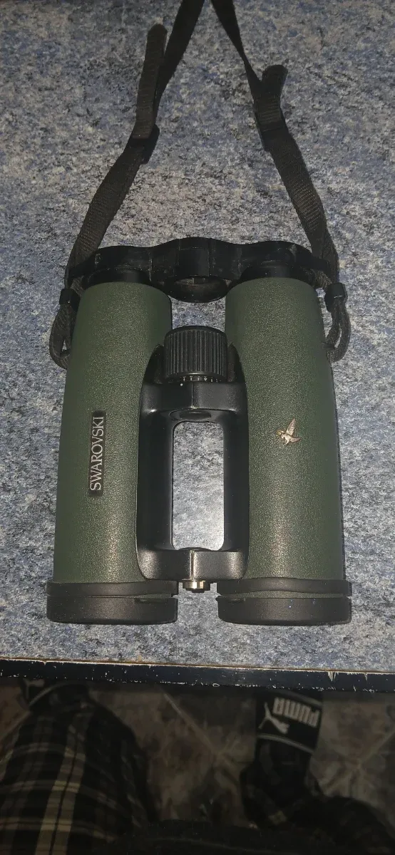 Prismáticos Swarovski Verdes