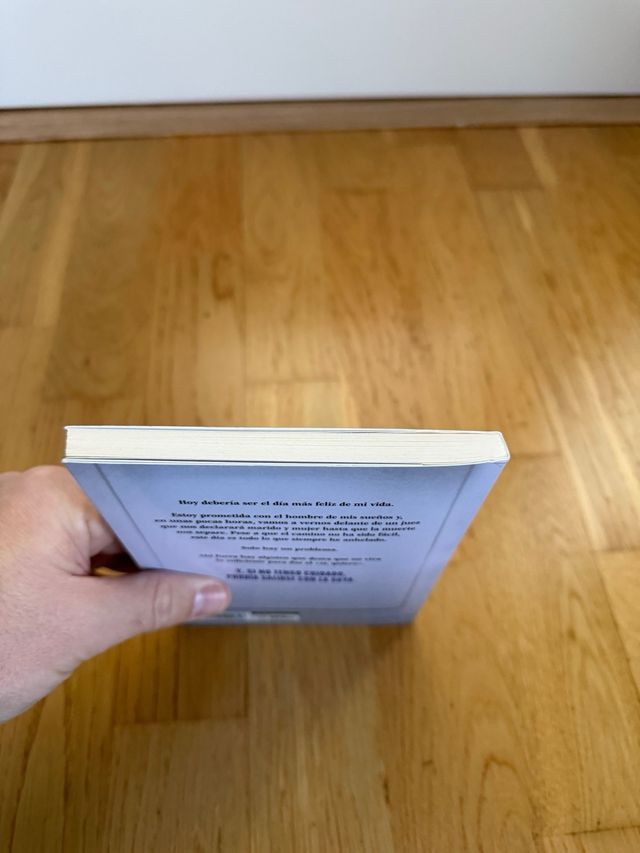 La boda de la asistenta (La asistenta)