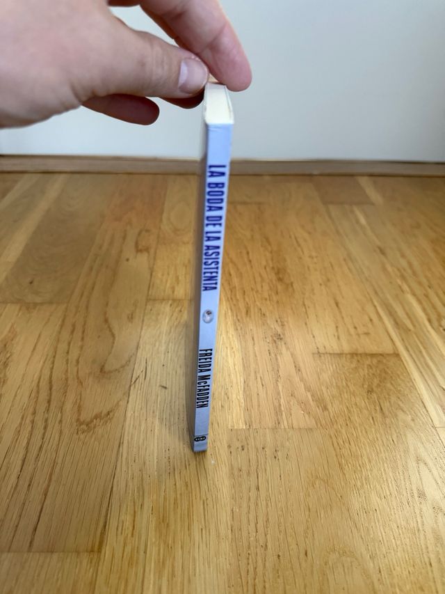 La boda de la asistenta (La asistenta)