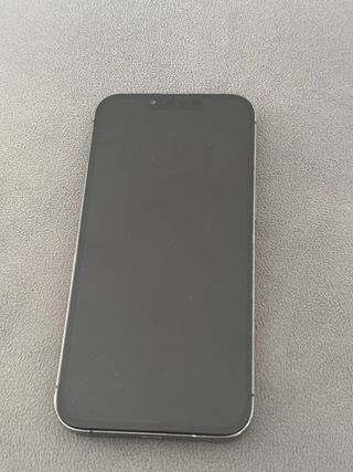 iPhone 13 Pro Gris Espacial