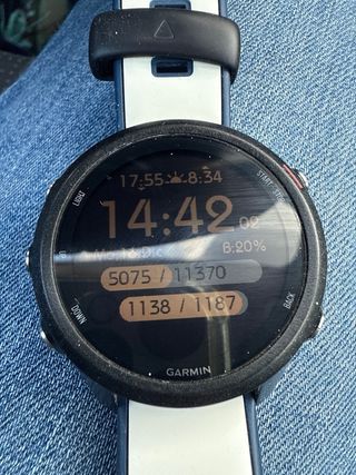 Garmin Forerunner 245 Music