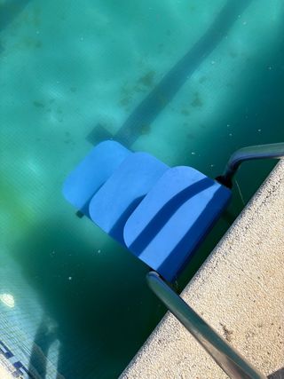 Escalera Piscina Plástico Perros