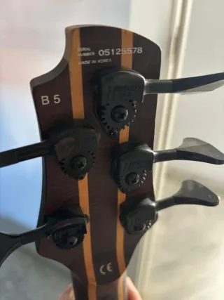 Bajo eléctrico 5 cuerdas