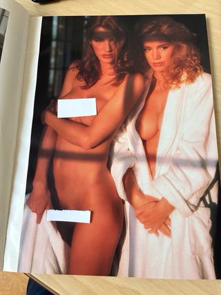 Playboy's Sisters Numero Speciale