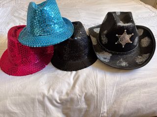 Lote 4 sombreros carnaval purpurina