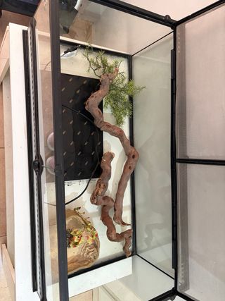 Terrario grande de cristal