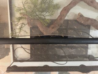 Terrario grande de cristal