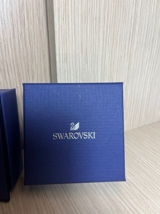 Orecchini Swarovski Argento