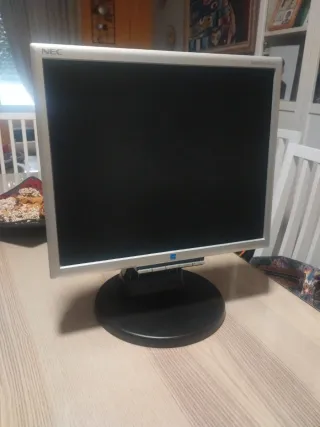 Monitor NEC Plata y Negro