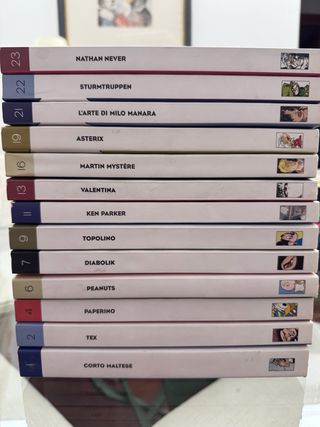 Fumetti libri monografici