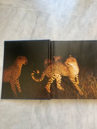 Enciclopedia de los animales