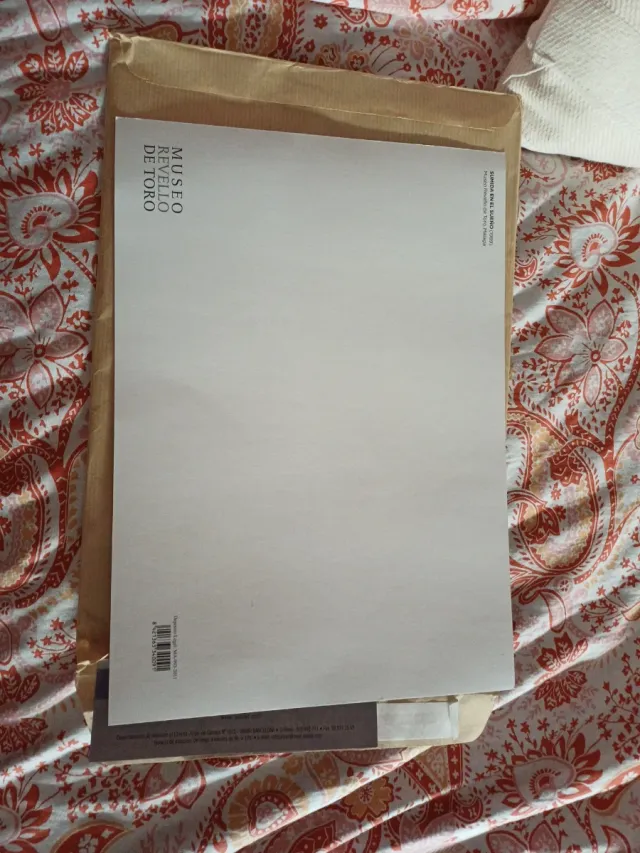 Revello de Toro. Sumida en el sueño.