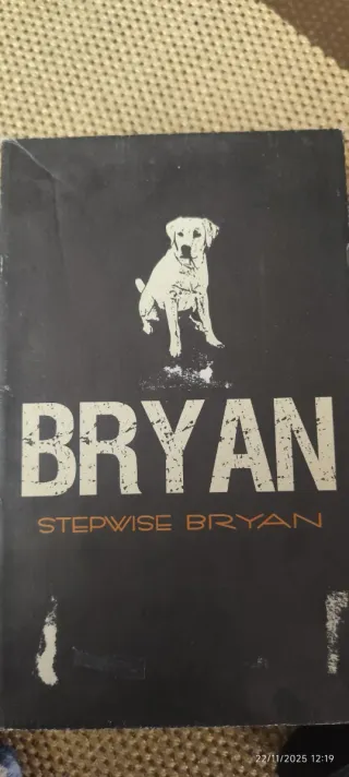 Zapatos BRYAN Piel Negros Talla 39