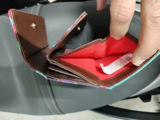 Cartera Desigual Multicolor