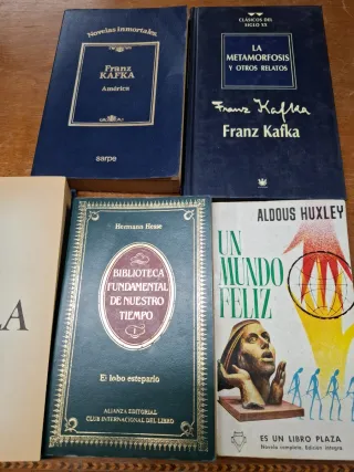 Lote libros