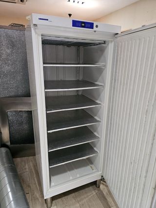 Congelador profesional Liebherr hostelería