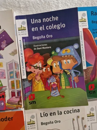 LOTE DE LIBROS RASI - BEGOÑA ORO