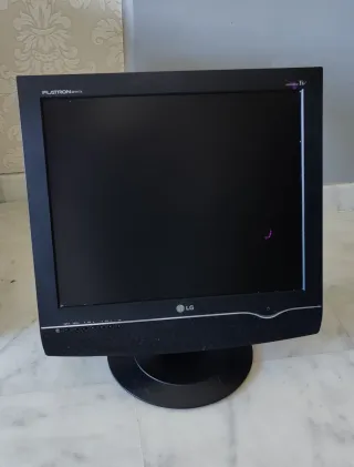Pantalla LG Flatron M1917A