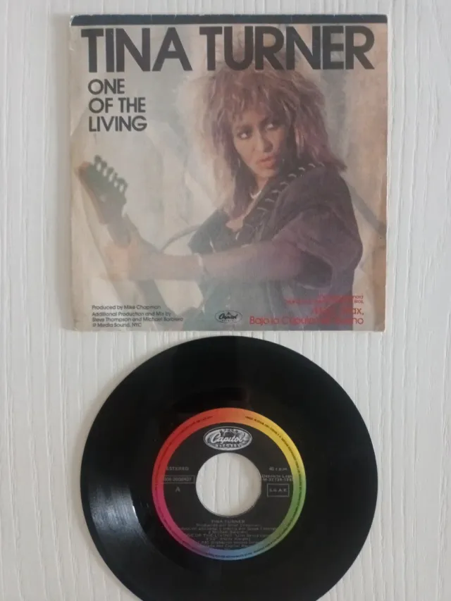 SINGLES TINA TURNER