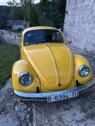 Volkswagen Beetle 1979