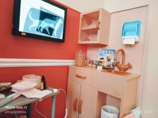 Veterinaria Our Generation Completa