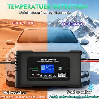 Caricabatterie Smart 36V/48V 18A