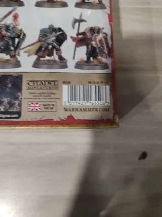 Warhammer Age of Sigmar: Chaos Warriors