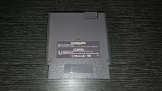 Teenage Mutant Hero Turtles Palcom NES