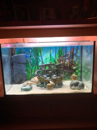 Acuario completo con decoración de barco pirata.