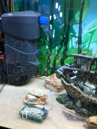 Acuario completo con decoración de barco pirata.