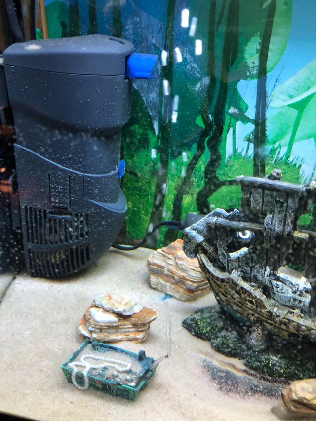 Acuario completo con decoración de barco pirata.