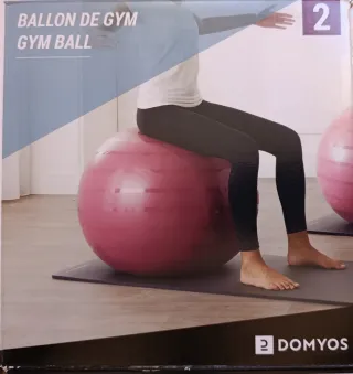 Balón de Gimnasia - Gym Ball