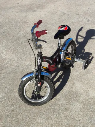 Bicicleta infantil Schwinn Tiger con ruedines