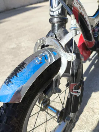 Bicicleta infantil Schwinn Tiger con ruedines