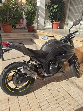 Moto Kawasaki Z300 Negra