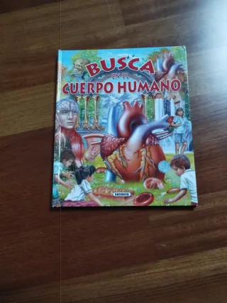 Busca en el cuerpo humano