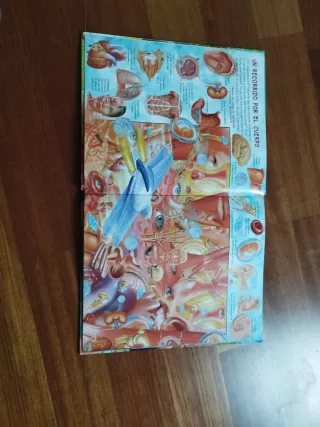 Busca en el cuerpo humano