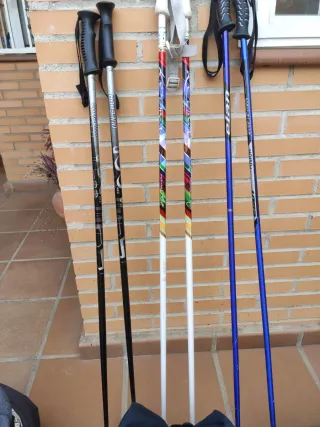 Botas de esquí y bastones